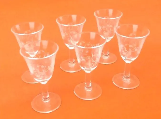 Années 1970 6 verres " Tulipe " gravés