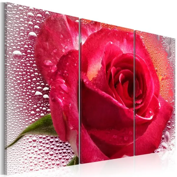 Tableau Fleurs Lady Rose - triptych