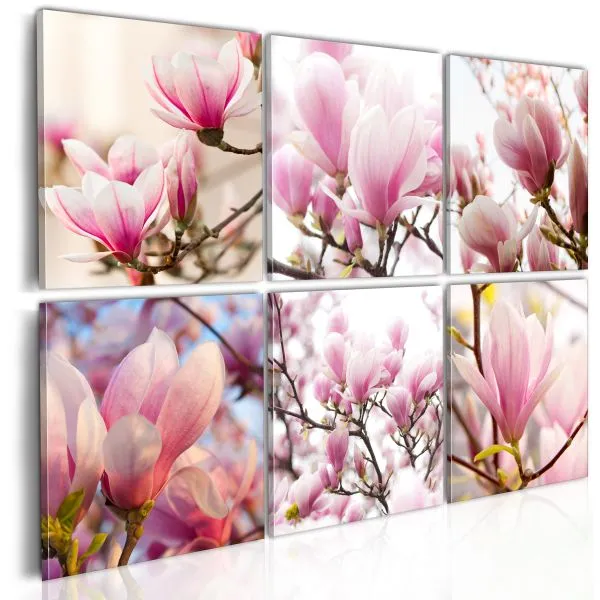 Tableau Fleurs Magnolias dans le Sud